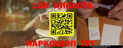 a pvp Новозыбков