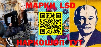 a pvp Новозыбков