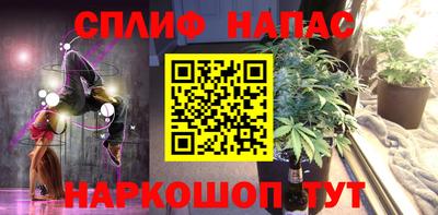 a pvp Новозыбков