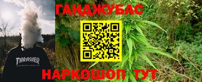 a pvp Новозыбков