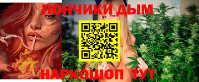 a pvp Новозыбков