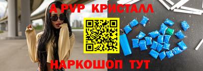 a pvp Новозыбков