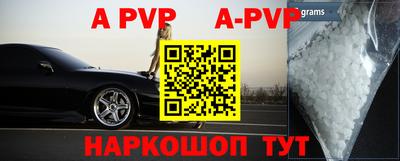 a pvp Новозыбков