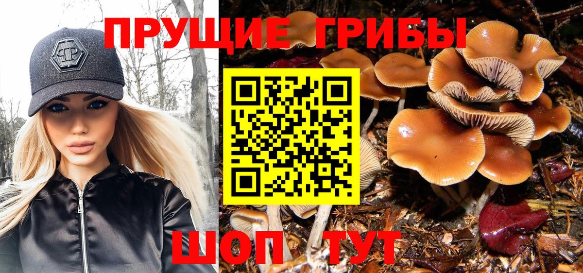 Галлюциногенные грибы мицелий  Вход с VPN  Усинск  Галлюциногенные грибы MAGIC MUSHROOMS 